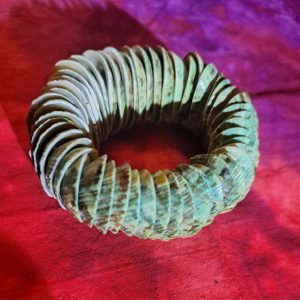 Green Shell-Segment Stretch Bangle